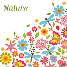 Natural card with beautiful flowers beetles and butterflies N12