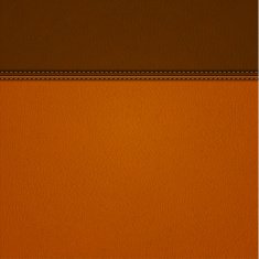Leather background N15