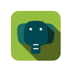 elephant face flat icon design Animal icons series