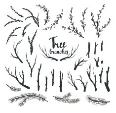 Hand drawn vintage tree branches N2
