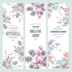 Floral banner collection Organic shop Vector illustration N2