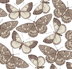 Butterflies Vector Attractive texture