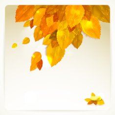 Vector card with stylish composition of autumn leaves N2