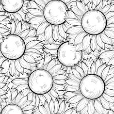 beautiful black and white seamless background with sunflowers N3