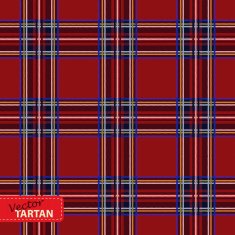 Seamless tartan pattern N76