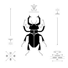 Stag-beetle Geometrical composition Vector N3