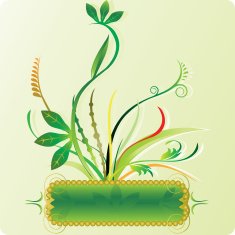 frame background 1