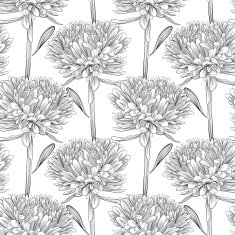 black and white seamless background with flowers aster N2