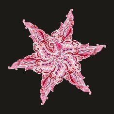 Decorative sea star N2