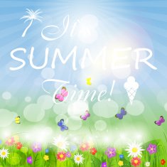 Summer holidays vector background N9