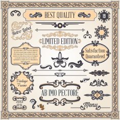 Calligraphic Design Elements N8