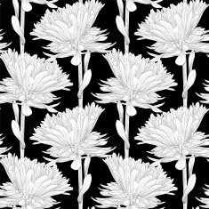 Beautiful monochrome black and white seamless background with flowers aster N4