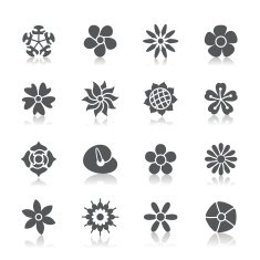 Flowers Icons N3