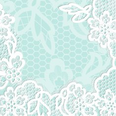 Lace background with a place for text N6