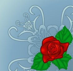 floral design element N6
