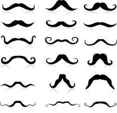 Whiskers silhouette N5