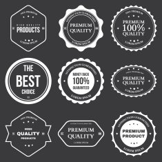 Set of retro vintage badges and labels N12