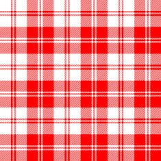 Seamless tartan pattern N80