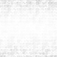 Light background with soft gray circles N2