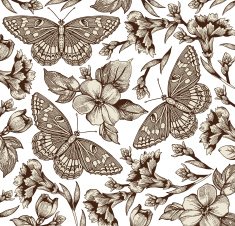 Butterflies Flowers Beautiful background with a flower ornament N7