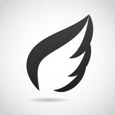 Wing icon isolated on white background N4