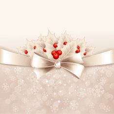 Vector christmas background with bow and holly N2