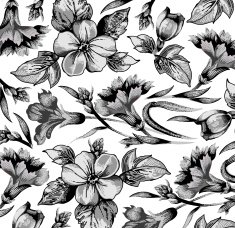 Flowers Vector Beautiful background with a flower ornament N41