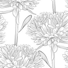 black and white seamless background with flowers aster N3
