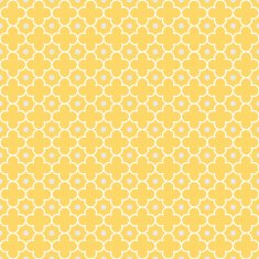 Quatrefoil Lattice Pattern N20