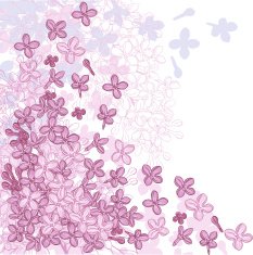 Vector background for design with flowers of lilac N4