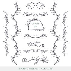 Elegant floral elements with branches and leaves N3