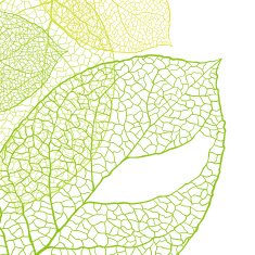 Fresh green leaves background - vector illustration