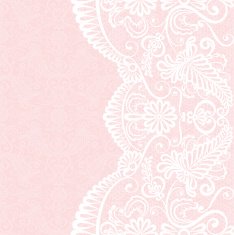 lace fabric background N54