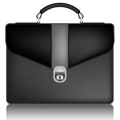 Briefcase N22