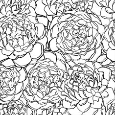 seamless pattern with monochrome black and white flowers N3