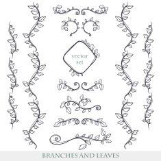 Elegant floral elements with branches and leaves N4