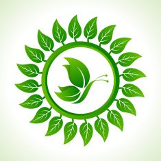 Eco butterfly inside the leaf background