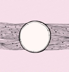 Rose lines horizontal banner