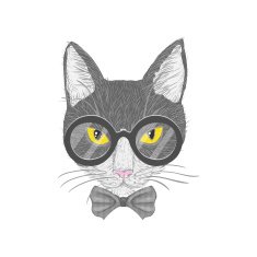 Hipster cat with yellow eyes N2