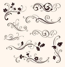 Set of calligraphic floral elements