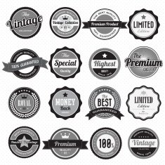 Set of retro vintage badges and labels N15