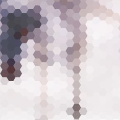 abstract colorful hexagon pattern background N6