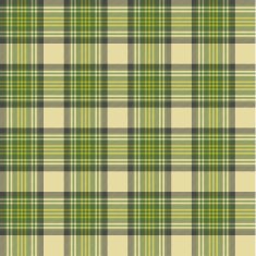 Seamless tartan pattern N83