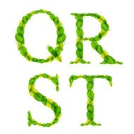 alphabet letters made from spring green leaves Vector illustration N4