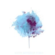 watercolor flower N7
