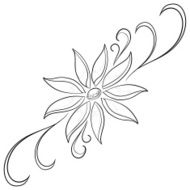 Abstract flower contours N4