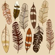 Set of isolated feather icons