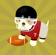 Bulldog puppy quarterback