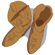 Cowboy Boots N15