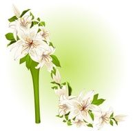 High heel from white flowers Vector